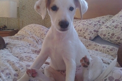 10268_1708054342759655_5720669613143059247_n