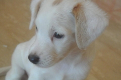 10400109_1708054399426316_1078171150450707112_n