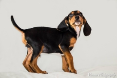 11997_1710432429188513_7096853591973129130_n