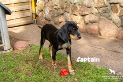 captain_2