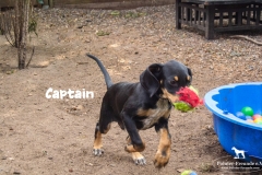 captain_3