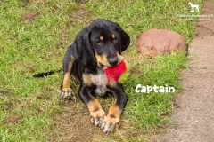 captain_4