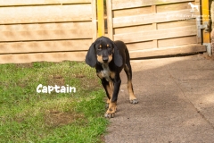 captain_5