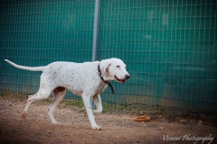 12410582_1707574599474296_3052166015083819097_n