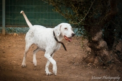 1425717_1707574622807627_7524106376129894192_n