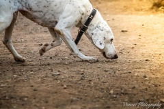 1936541_1707574532807636_5682137117241808738_n