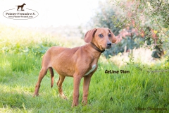 Celine Dion IMG_3337-960