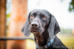 10421236_1734002476831508_8144333568992590284_n