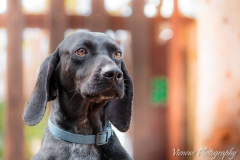 819_1734002296831526_7058735020100841368_n