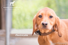 Chockolate IMG_0228-960