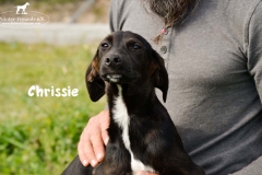 chrissie_2