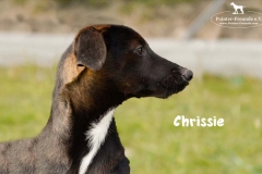 chrissie_3