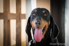 10400707_1727741930790896_8308205548977508238_n