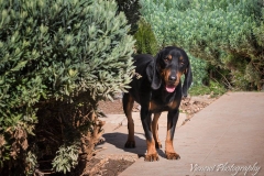 12794490_1727741974124225_1800753479388440879_n