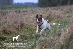 28579693_1854914201208730_1216916187_o