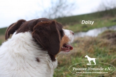 28584002_1854914137875403_1871154195_o