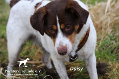 28584193_1854914224542061_2094582565_o