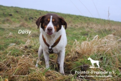 28584464_1854914231208727_2143816281_o