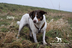 28584977_1854914211208729_898163486_o