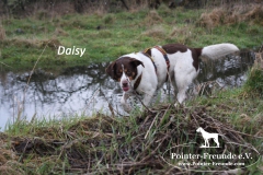 28641448_1854914154542068_808745911_o