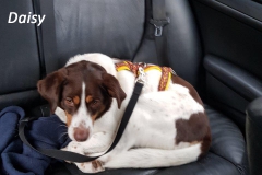 28641624_1854914117875405_1689893674_o