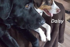 28643501_1854914141208736_2052958365_o