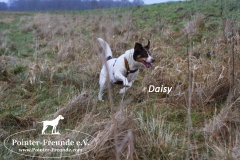 28693740_1854914161208734_1300432077_o