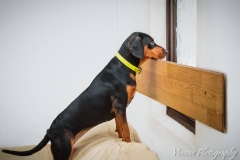 12321242_1721634881401601_3023720445460505232_n