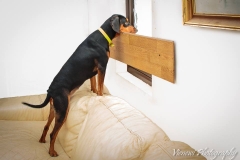 12718185_1721634884734934_7562004815212259097_n