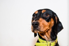 12729028_1721634851401604_5209880669467199352_n