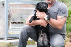 Dartagnan IMG_0716-960