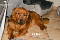 bild3
