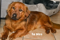 bild4