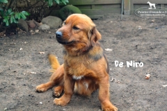 bild6