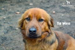 bild7