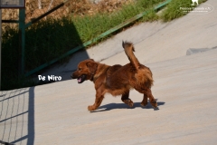 bild7