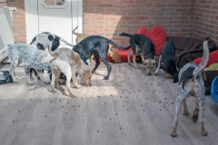 Design Click Vinyl der Hornschuch Group