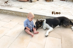 elmo_3