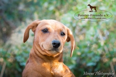 13680777_1795047497393672_3150471568646455741_n