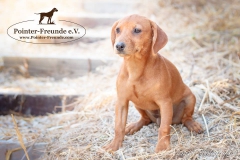 13921057_1795047490727006_2839624391999058036_n