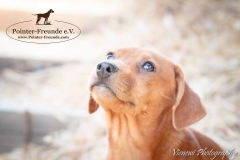 13935007_1795047500727005_3355616798293047477_n