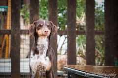 12512287_1727721507459605_5976318818886201008_n