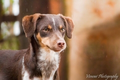 12790901_1727721497459606_7162357291989076661_n