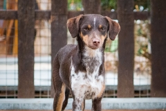 12799030_1727721537459602_9170185038101154663_n