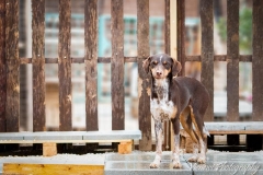 12801268_1727721530792936_3356047504963480418_n