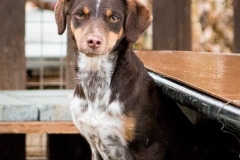 12802897_1727721504126272_2591051280807848247_n