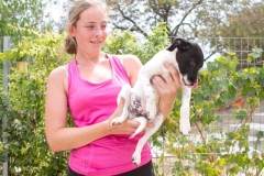 12182921_1689390114626078_160614572723986762_o