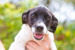 12183811_1689390167959406_8761720816171871568_o