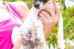 12189985_1689390174626072_3996127039806979209_n