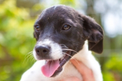 887482_1689390111292745_1191016818433495603_o